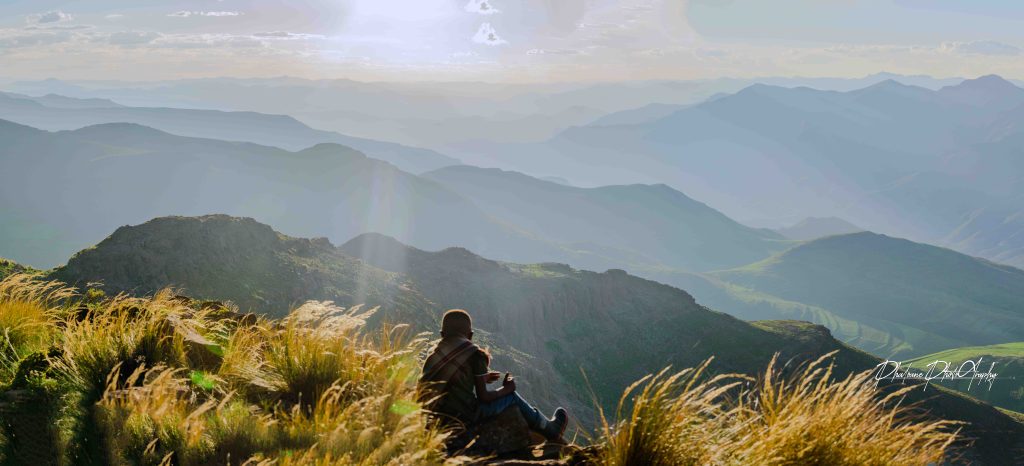 DSC 0677 Pano2025182845