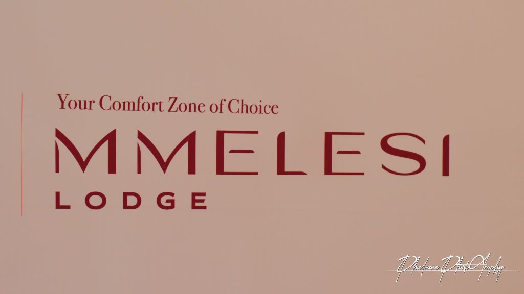 DSC 8193 19032026 144304