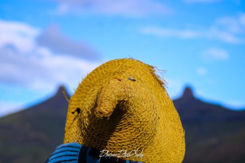 20221109162349 IMG 8495